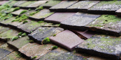 Milton Common roof repair costs